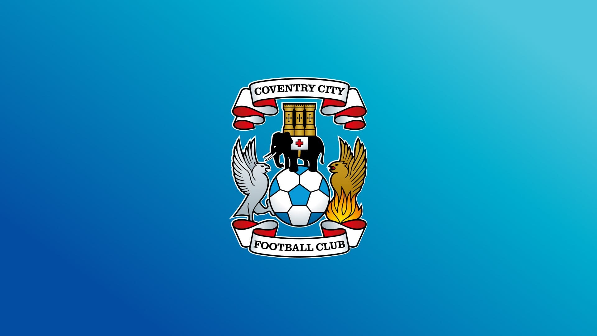 A picture of the Coventry City Football Club Flag