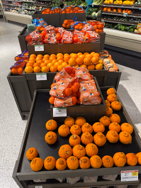 Red Bag Oranges Feature Image